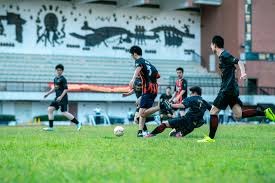 深入解析法国足球甲级联赛的魅力与竞争